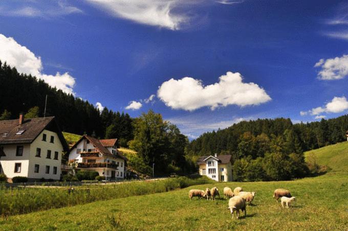 Hotel Hirschen-Dorfmühle Biederbach Baden-Württemberg Exterior foto